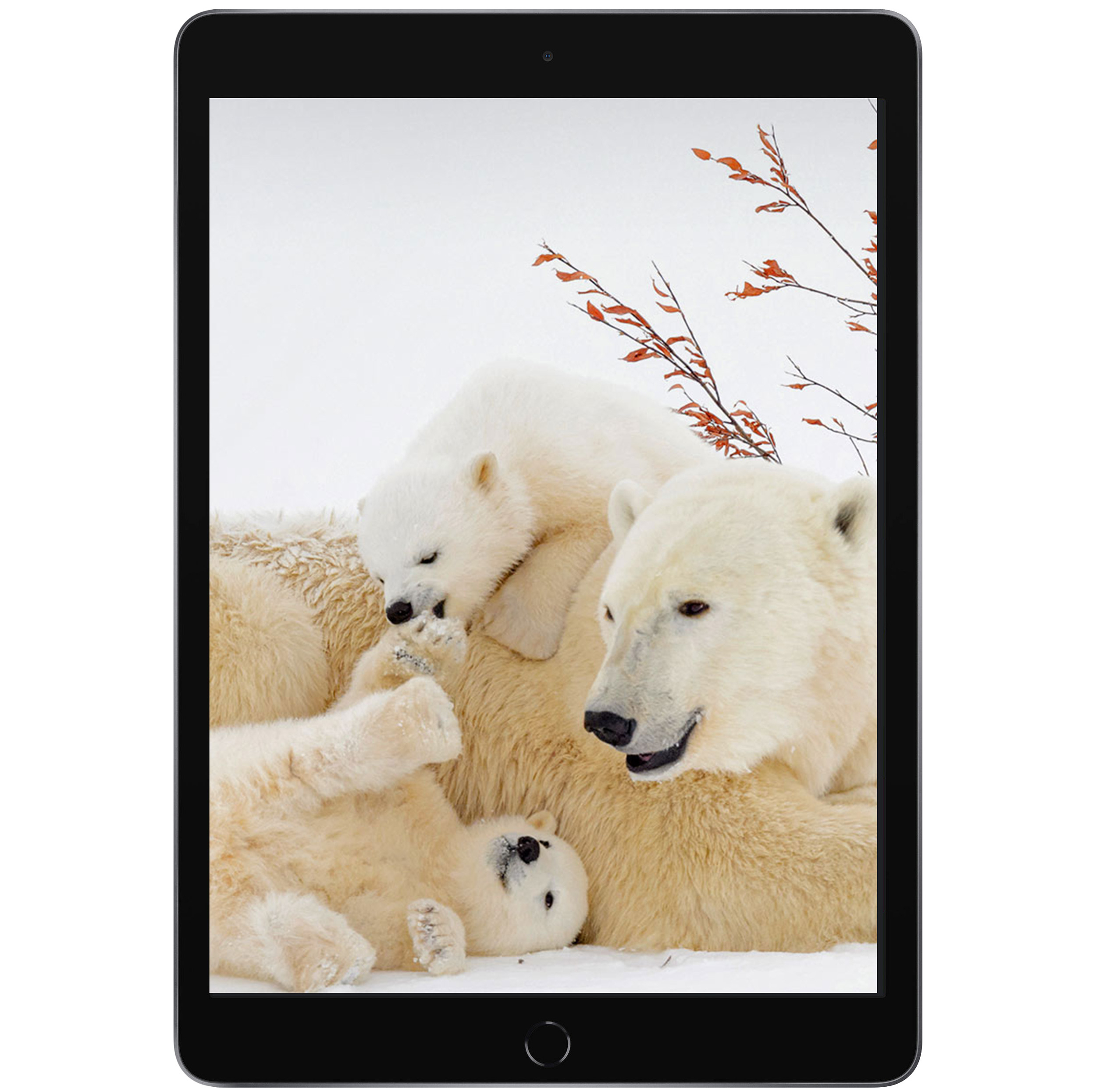 تبلت ۱۰.۲ اینچ اپل مدل iPad (9th Generation) 10.2 Wi-Fi (2021) ظرفیت 64 گیگابایت
