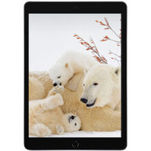 تبلت ۱۰.۲ اینچ اپل مدل iPad (9th Generation) 10.2 Wi-Fi (2021) ظرفیت 64 گیگابایت