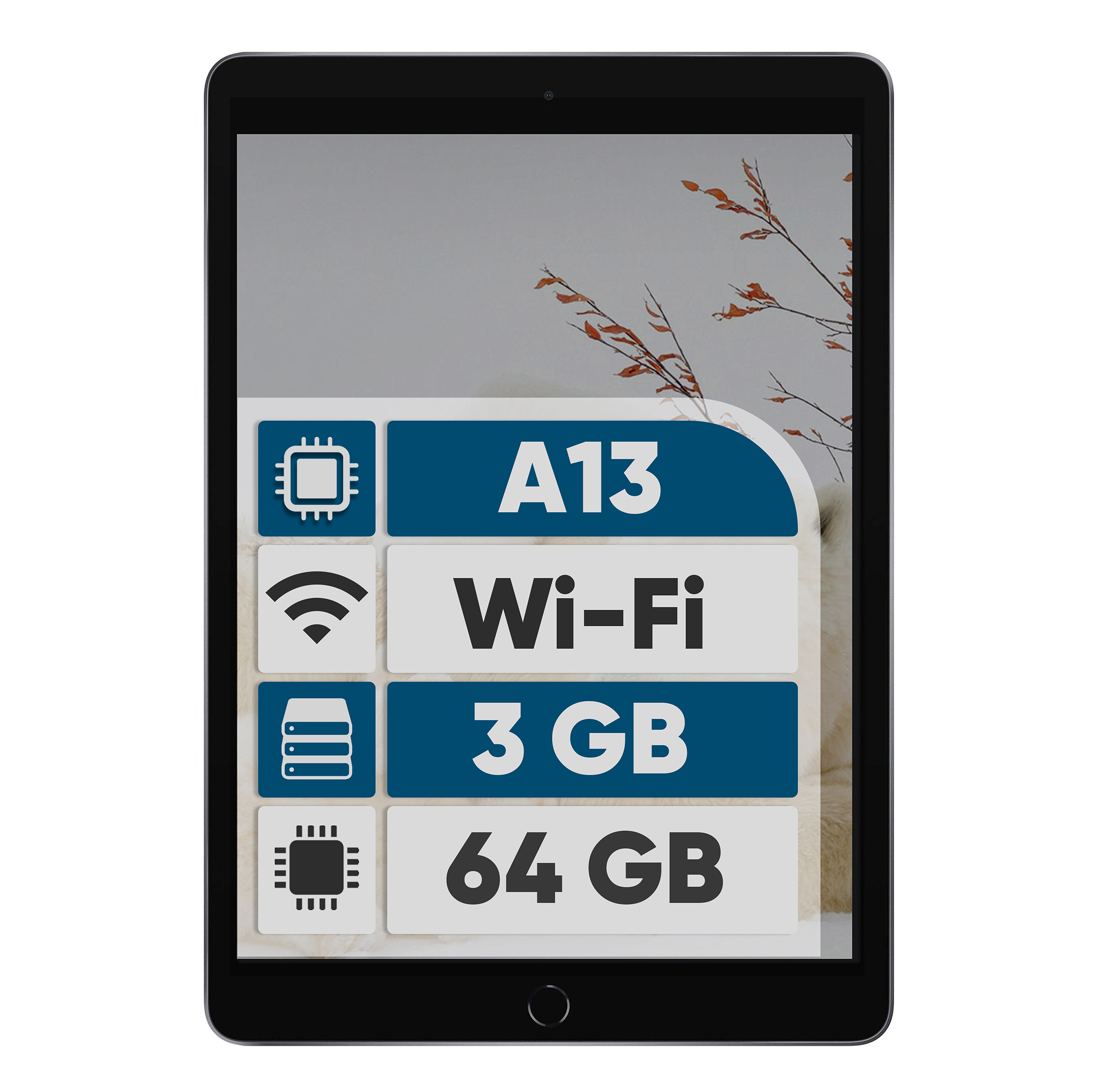 تبلت ۱۰.۲ اینچ اپل مدل iPad (9th Generation) 10.2 Wi-Fi (2021) ظرفیت 64 گیگابایت